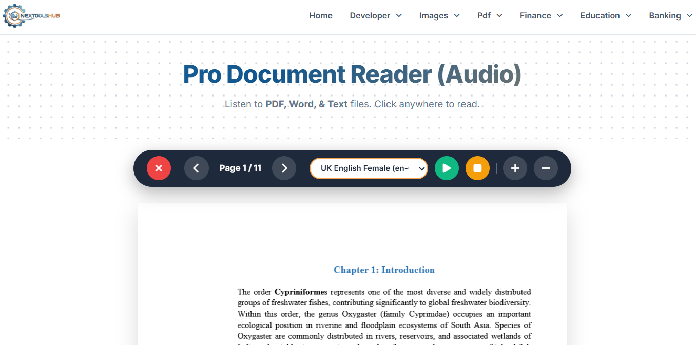 Pro Document Reader tool preview
