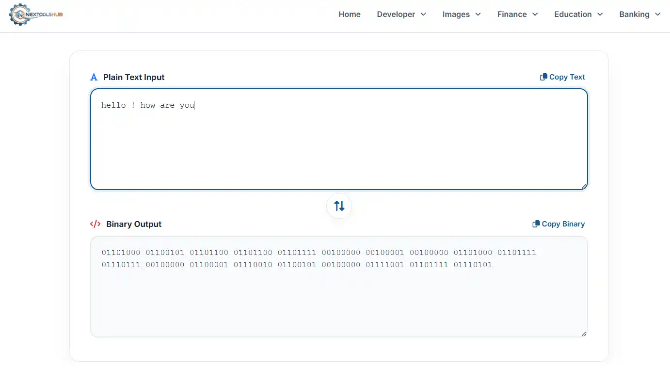 Binary Code Data Flow